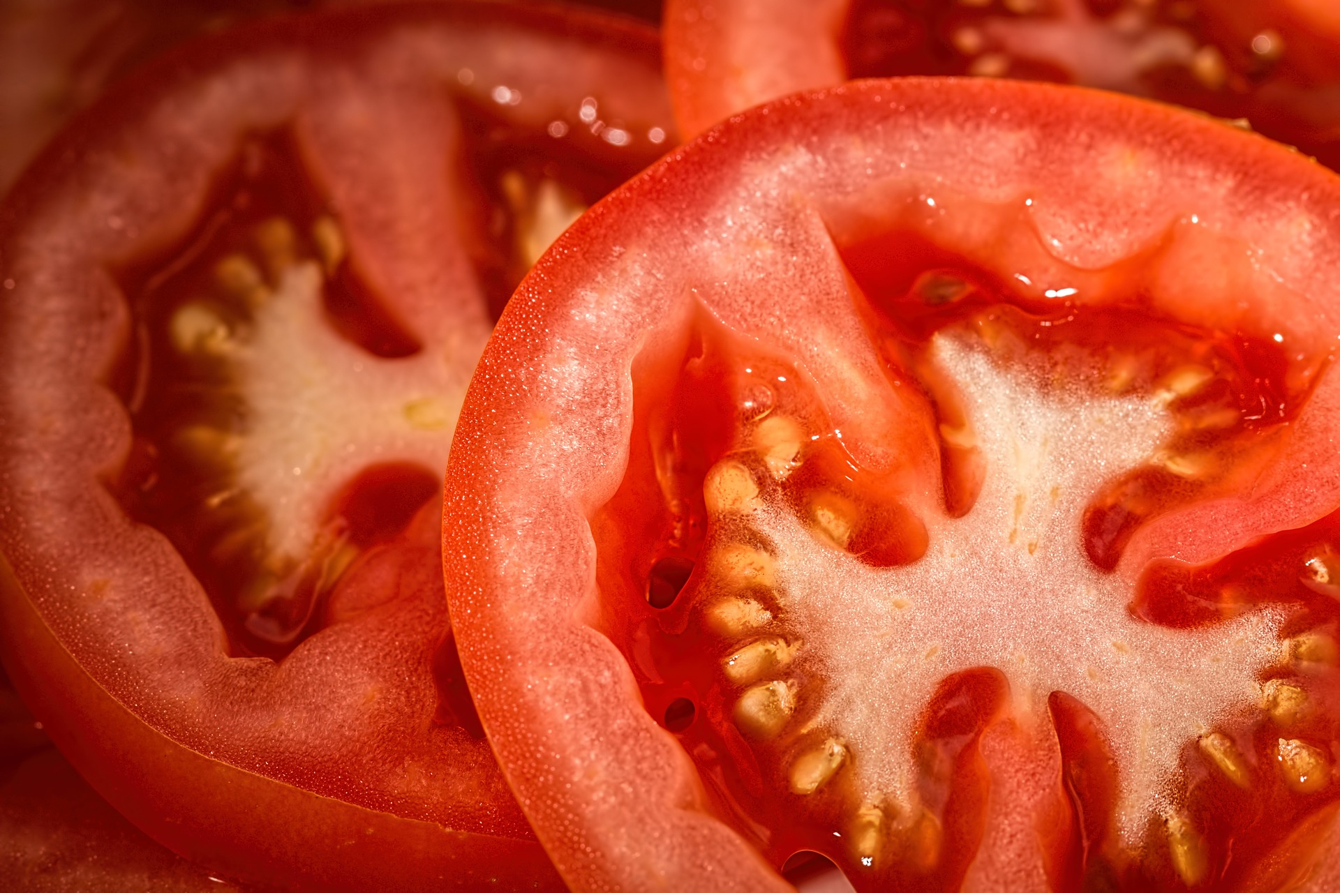 tomatoes-769999_1920_221826.jpg
